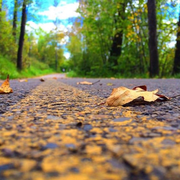 Meet your Posher, Luna - Picture 14 of 15